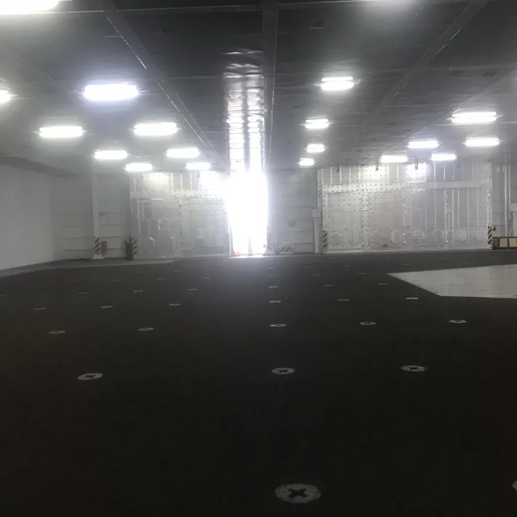 Successful-Bimagrip-LS Application-on-MV- Delphine-by-JMS